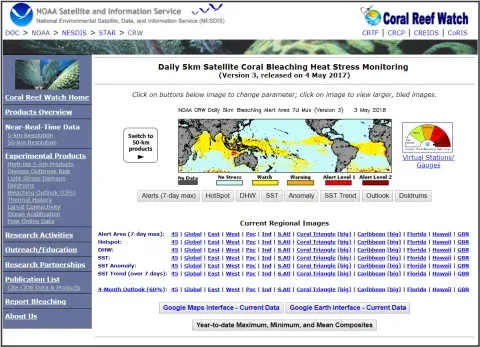 Coral reef watch